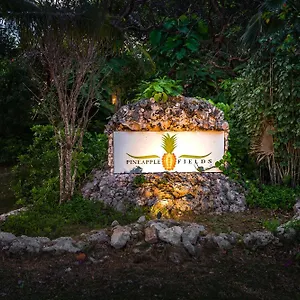 Aparthotel Pineapple Fields, Governor's Harbour
